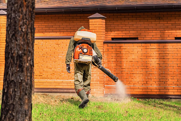 Trusted Cockroach Control service in Stony Prairie, OH - Nex Pest Control